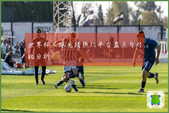 世界杯买球竞猜热门平台盘点与对比分析