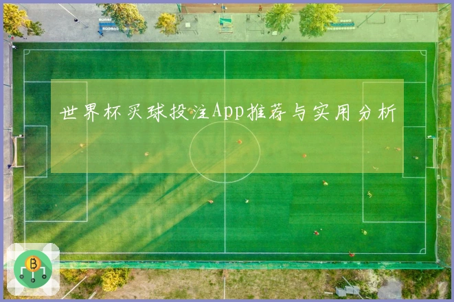 世界杯买球投注App推荐与实用分析